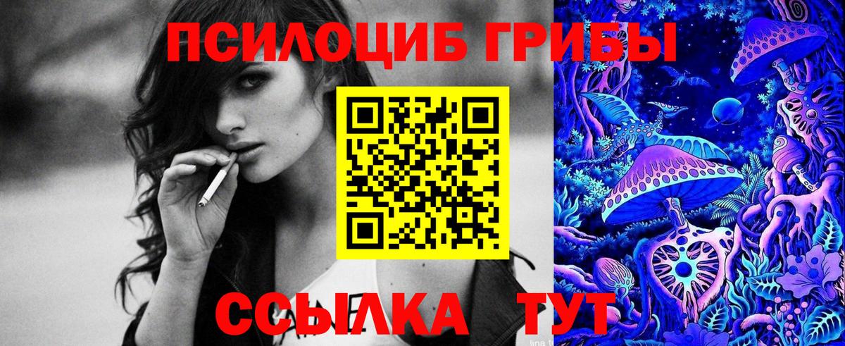 Галлюциногенные грибы GOLDEN TEACHER  Вход с VPN  Верхняя Пышма 