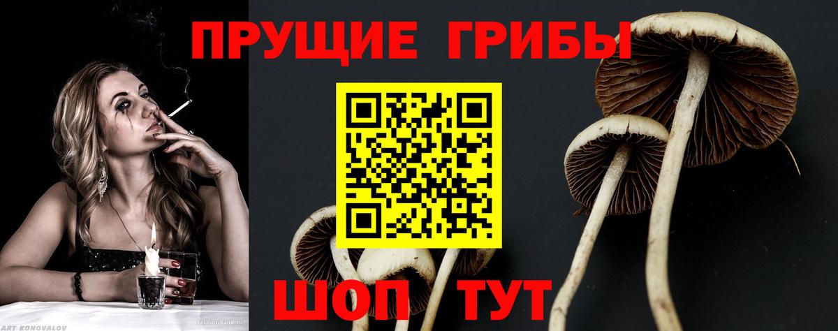 Галлюциногенные грибы мицелий Верхняя Пышма